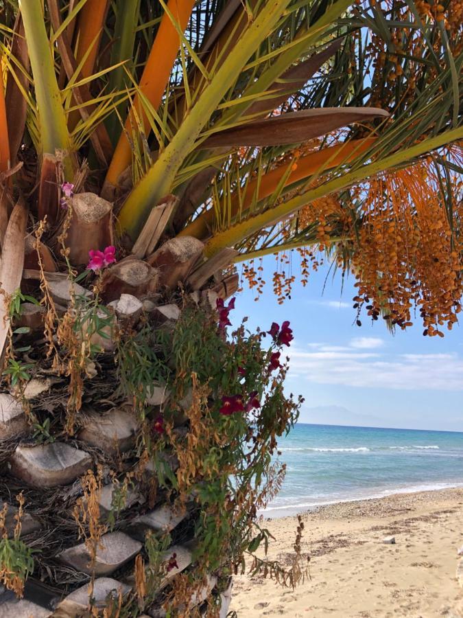Halkidiki Beach Apartments 2 Nea Kalikratia Vergia Beach Nea Kallikrateia ภายนอก รูปภาพ